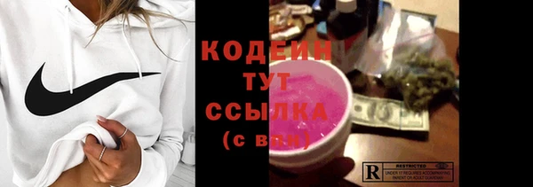 шишки Горно-Алтайск